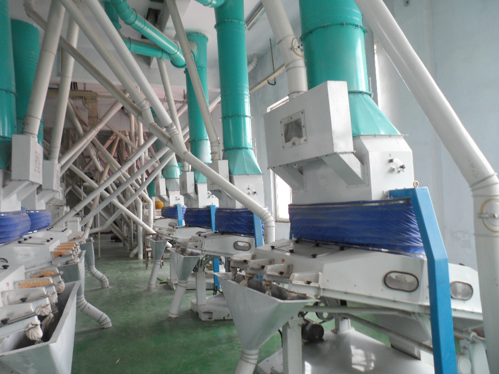 玉米加工機(jī)械為什么要脫胚？